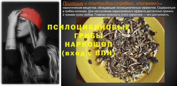 амф Аркадак