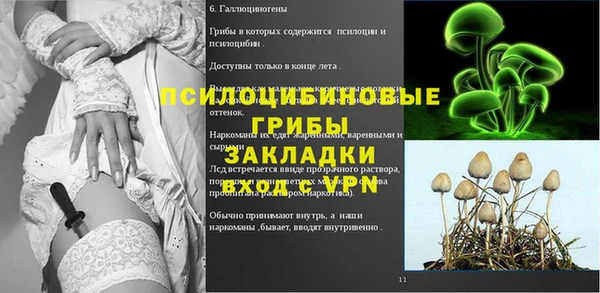 гашик Баксан