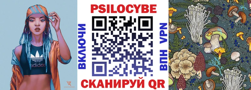 Псилоцибиновые грибы Psilocybine cubensis  как найти закладки  мега ссылки  Шацк 