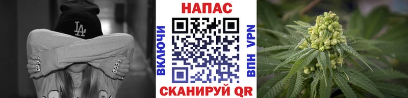 как найти закладки  Шацк  гидра сайт  Конопля White Widow 